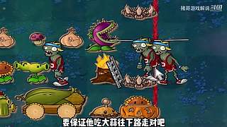 猪哥游戏解说的直播间