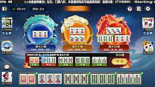 钻粉包赢专场，不赢自己充！！！
