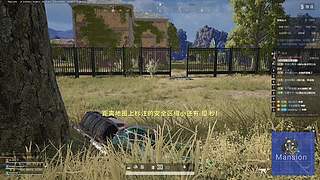 全职游戏主播
