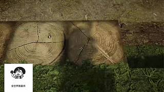 失眠症福音~~~~~~~~~~~