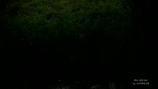 一起看英仙座流星雨
