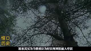 讲点怪口小历史
