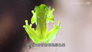 【所长来了】打开宇宙的未知