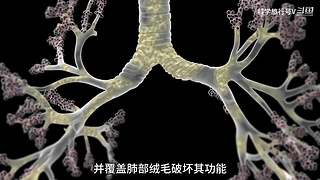 带你科学旅行~
