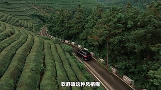 吴佩官方频道 同步更新