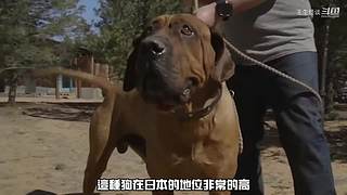 王生怪谈奇闻怪事
