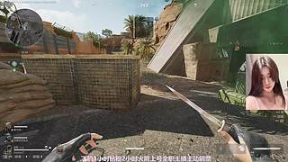 忙碌的小绵羊