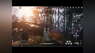 羽落的声音....