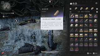 火影小伙子