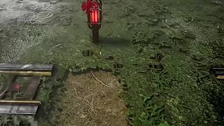 失眠症福音~~~~~~~~~~~