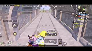 新人主播求关注雨林自闭城1V4