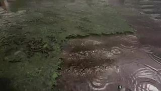 失眠症福音~~~~~~~~~~~