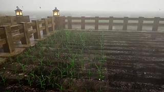 失眠症福音~~~~~~~~~~~