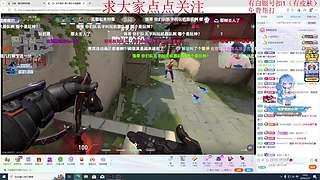 【亿星】全斗鱼最热爱瓦的主播