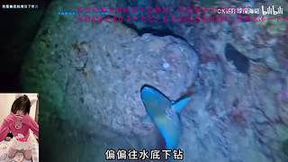 【白银双倍】希望好运快乐常伴QAQ