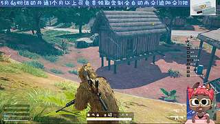 黛玉强在线了