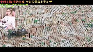 夏沫沫：有位子