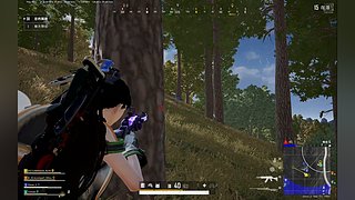 PUBG萌新选手