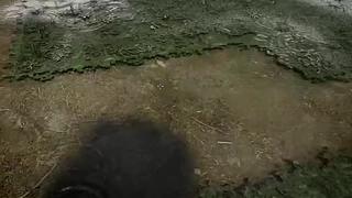 失眠症福音~~~~~~~~~~~