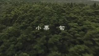 【牛叔2台】欢迎来到牛叔的悬疑世界