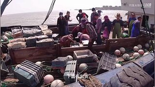感谢钓友关注，每天分享鱼乐