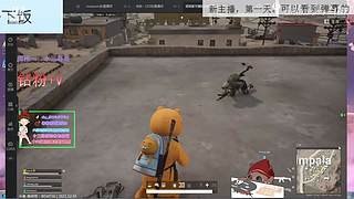 新人，第一天！