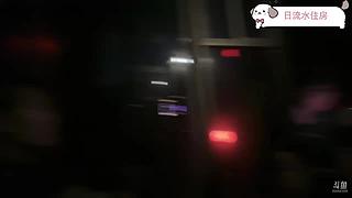 河南第一深情 10516967