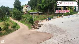 河南第一深情 10516967