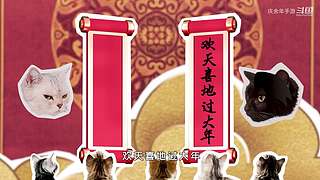庆余年手游