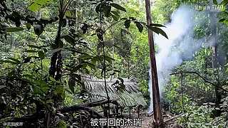 越南小哥的丛林生活