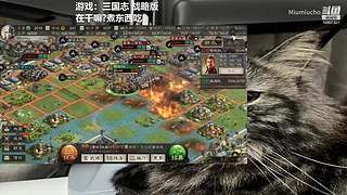 CS2熟悉熟悉官匹