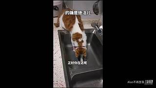 星球大战前线2玩玩看。
