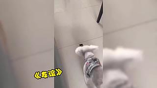 唉呀妈呀！笑抽抽了！