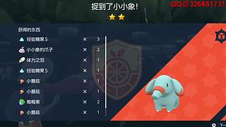 小精灵世界联盟-圣龙