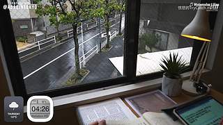 重生之奋发涂墙