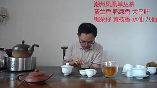 潮州凤凰单丛茶