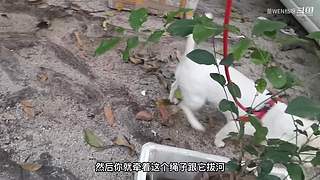 回归玩家随便逛逛