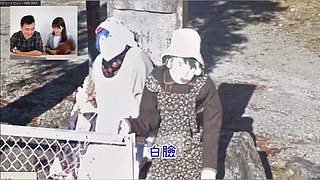 老高与小茉的睡前科普（持续更新中）