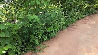 27号团播开始！！！