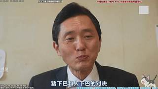 懒猫 美食家 点播