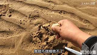 大齐赶海，又是出大货的一天
