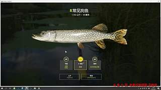 55级 老登~教你玩俄钓