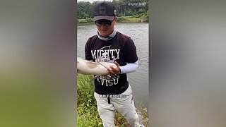 亮gnailux的直播间