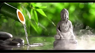 旧梦随人心的直播间