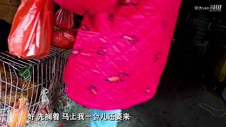 今天咱们吃一顿好的，持续更新..