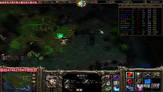 魔兽达尔文进化岛直播间