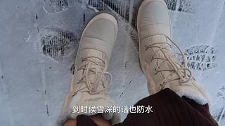 带您进入在下小苏Su的日常
