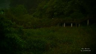 一起看英仙座流星雨