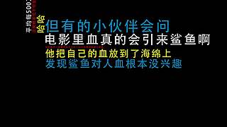 几号房间V的直播间