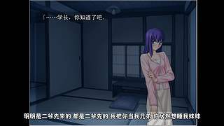 【月影轮播间】后宫番解说